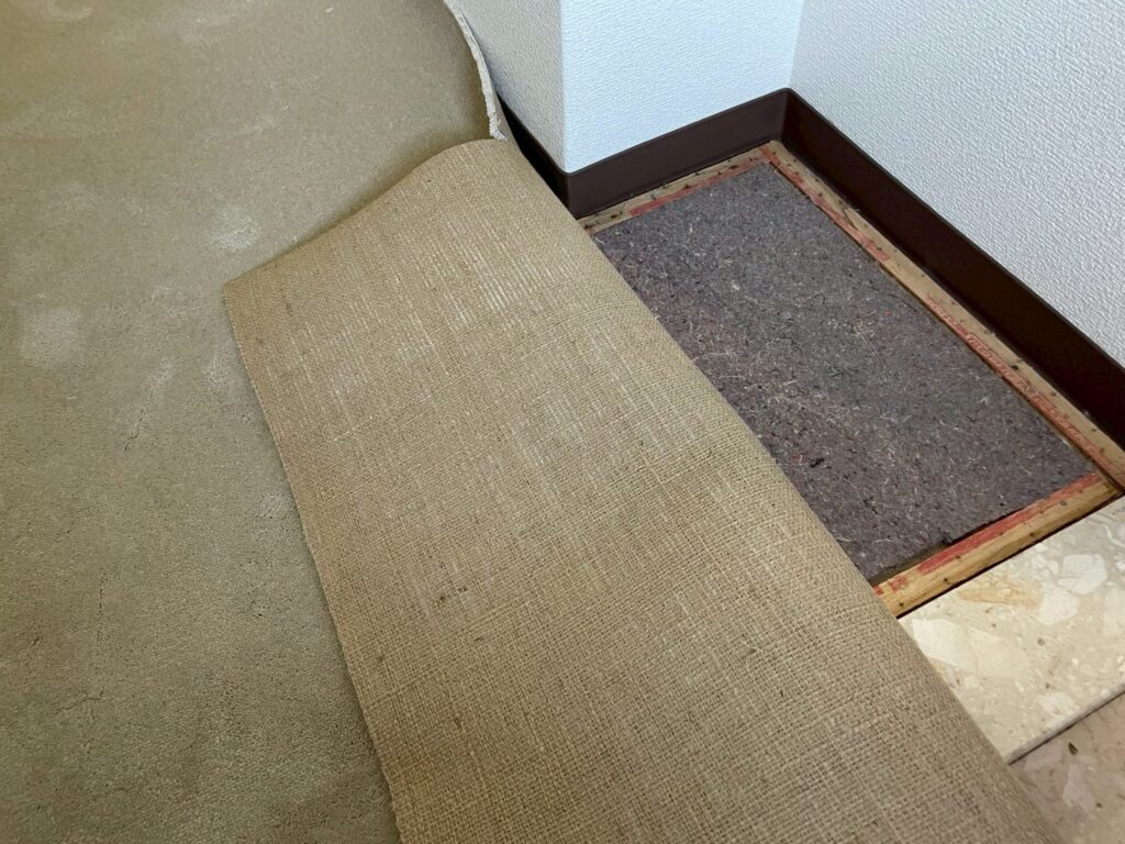 チラッ(/ω・＼)