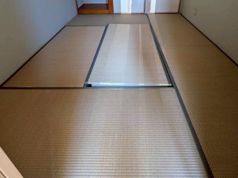 一見きれいに見える畳ですが、長年の使用による色あせや摩耗が見られました
