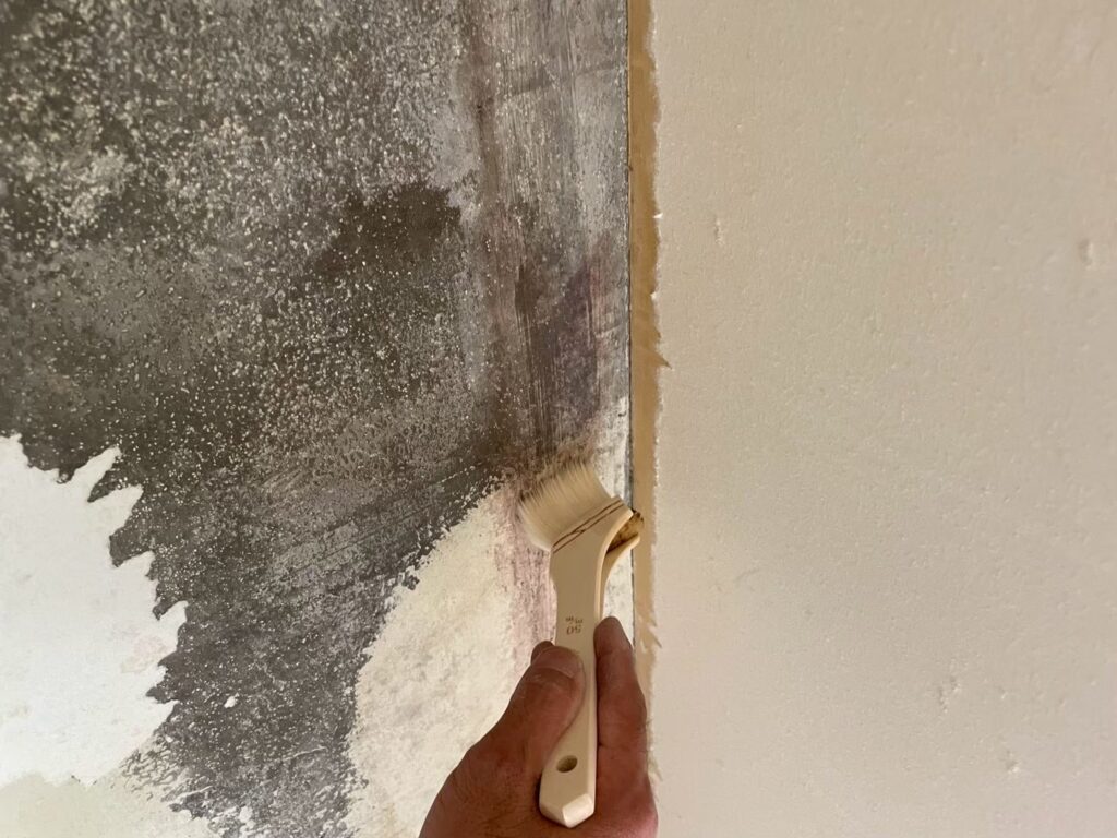 黒くなっているカビ部分は重点的にシーラー処理で除去をしています